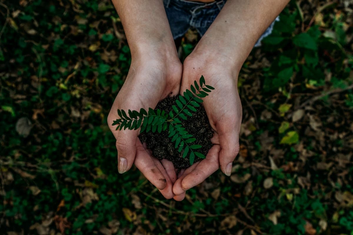 How EcoScore works