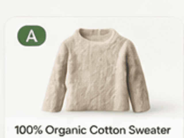 Cork Belt