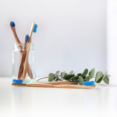 Bamboo Toothbrush 4-Pack